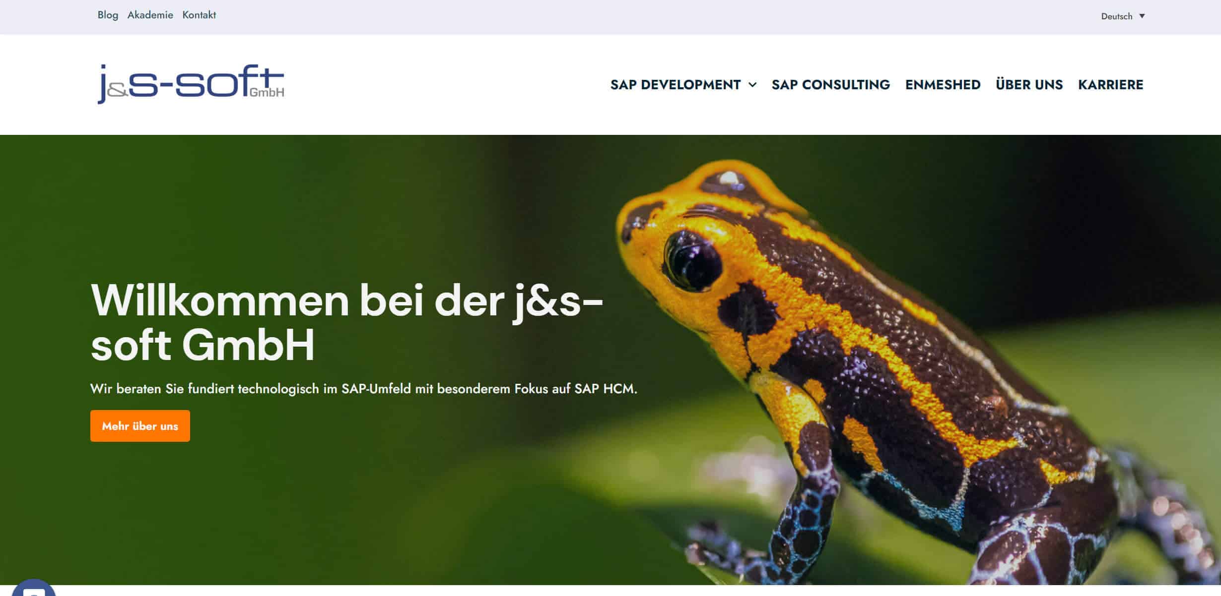 Zum lebendigen Weiterwachsen: unser neuer Webauftritt